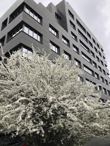 Birouri intersectie Timpuri Noi, suprafata de  la 250mp la 3400mp - 1