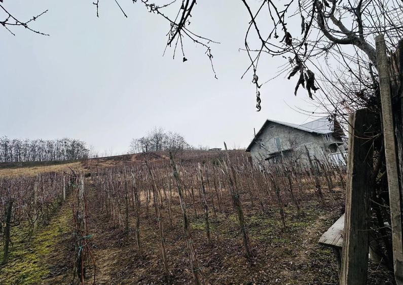 Teren intravilan - 1