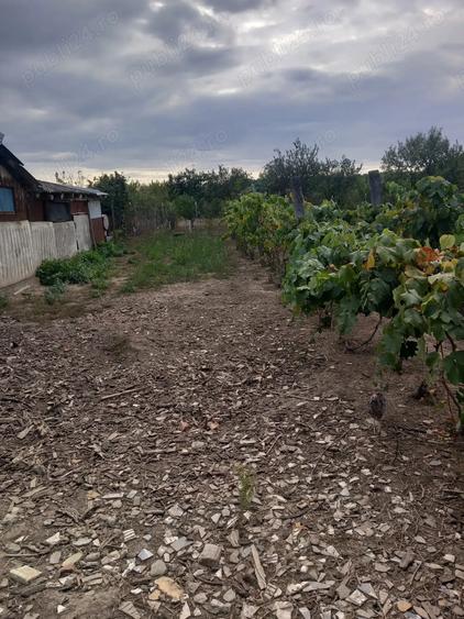 Casa de vanzare Pischia - 3