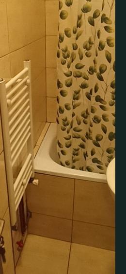 Garsoniera Noua- str Prunului - 2