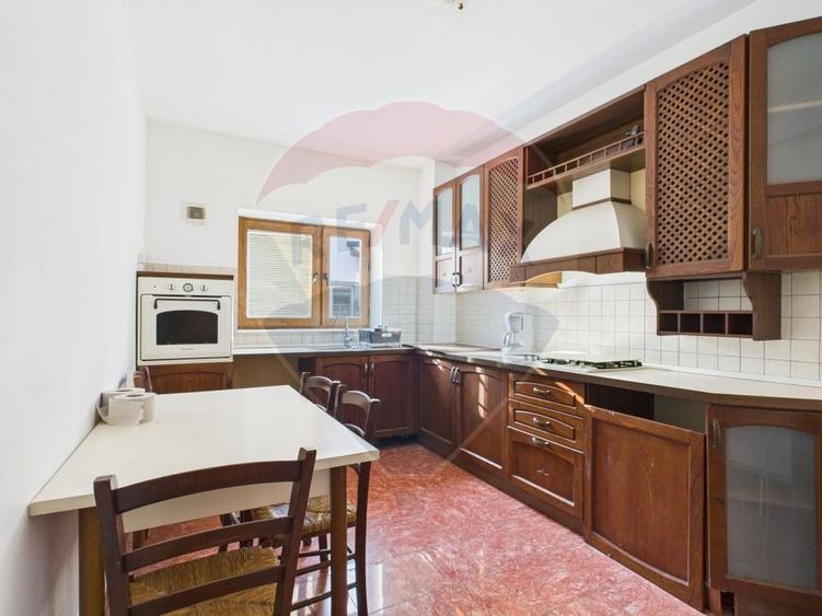 Vila de închiriat în zona IANCU NICOLAE - 7