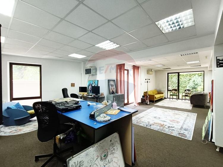 Vanzare Spatiu Comercial / Birou, Str. Popa Tatu -Cismigiu, Investitie - 8