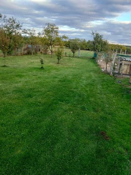 De vanzare casa in comuna Valea Vinului sat Sai - 2