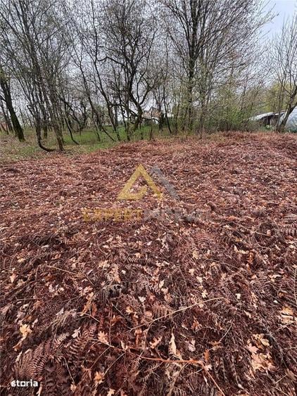 Teren intravilan in spate la Castel Transilvania 1.000mp - 8