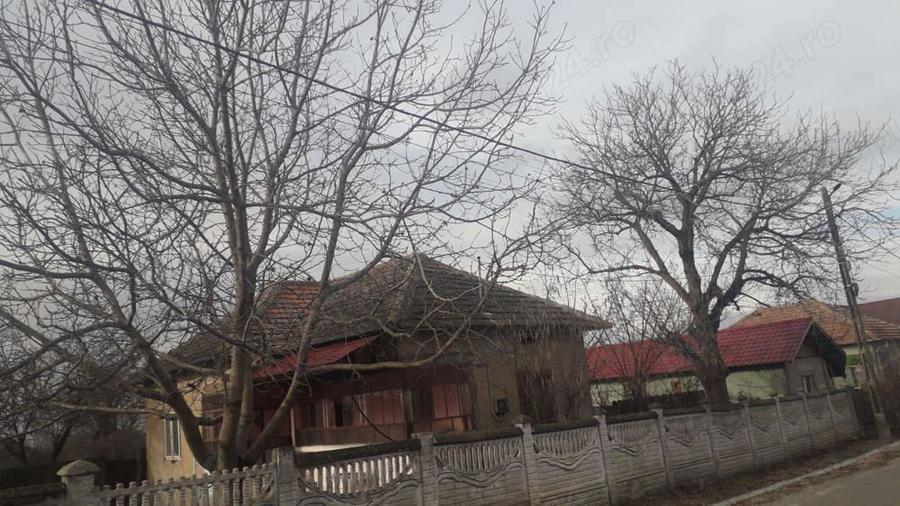 REZERVATA casa Com. Patulele, jud. Mehedin?i, cu 3000 mp curte - 4