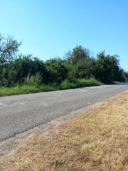Teren Construcții intravilan de 11500 mp, în Central