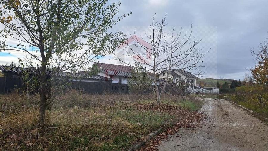 Teren Construcții intravilan de 760 mp, în Sud
