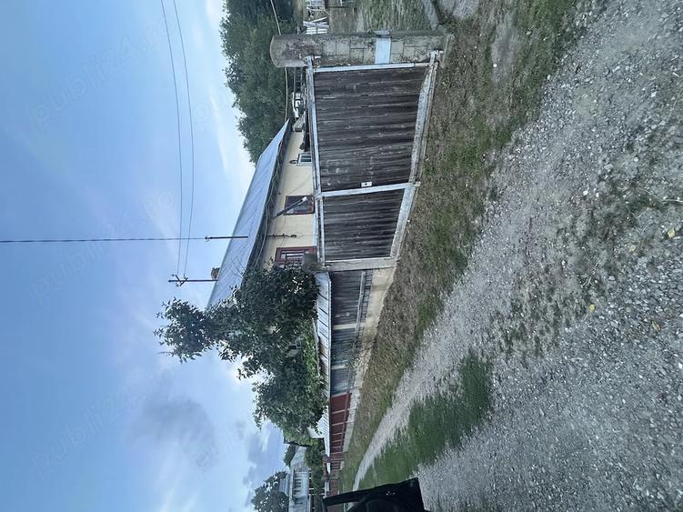 Teren de 1000 mp, în Miroslovești
