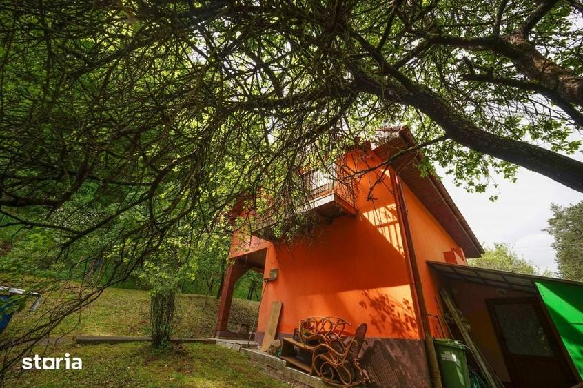 Casă cu 4 camere cu Teren 4891 Mp în Sava