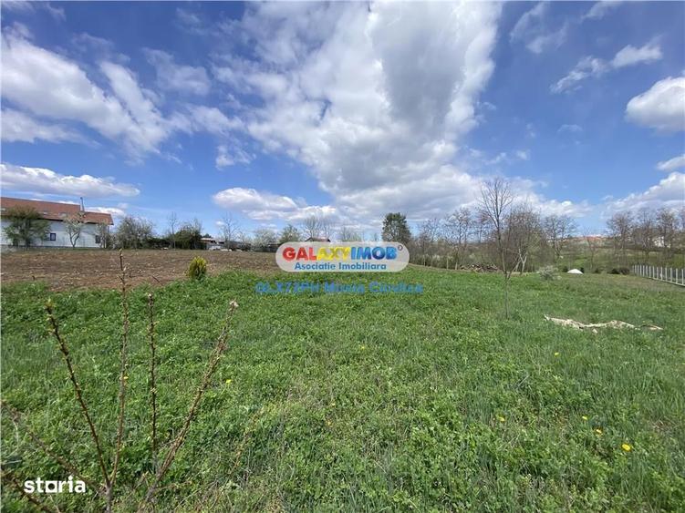 Vanzare teren intravilan Paulesti Prahova - 3