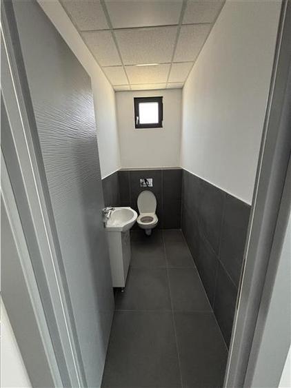 Inchiriere depozit/hala/spatiu industrial Chiajna - Chitila - Rudeni - 12