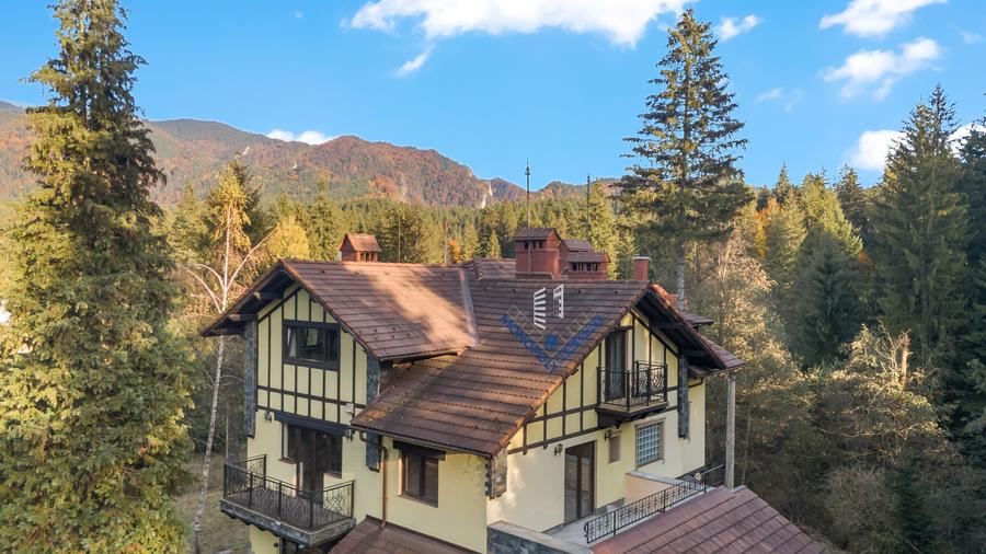 Proprietate cu potențial uriaș – Timișul de Sus – Brașov - 3