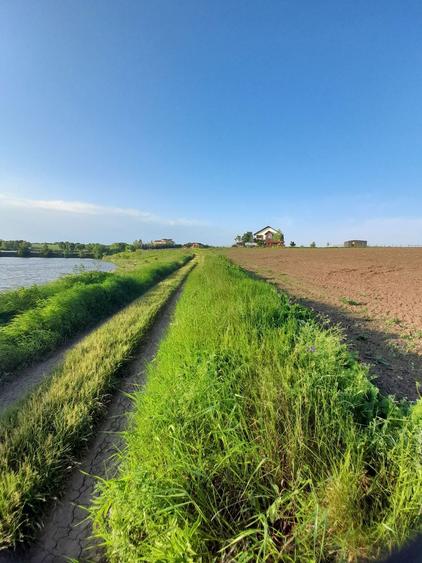 Teren intravilan Belciugatele 1250 mp - 4