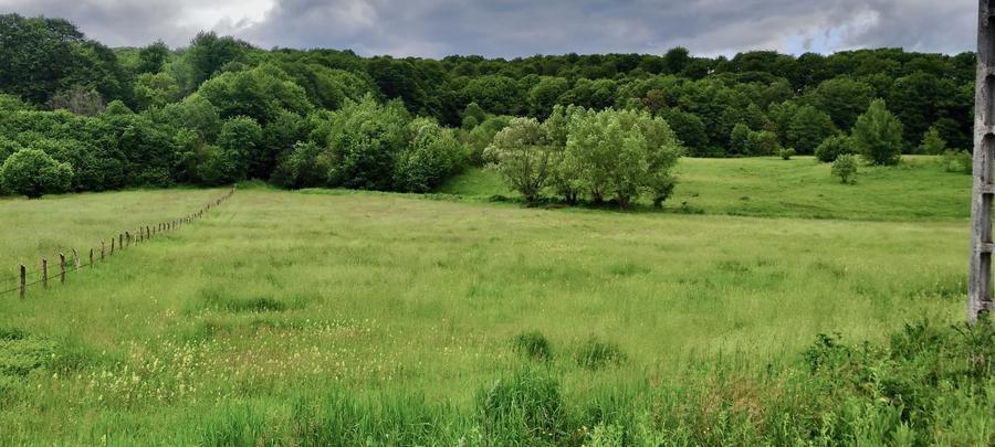 Teren la padure, panoramic dealuri si paduri, curent si asfalt - 11