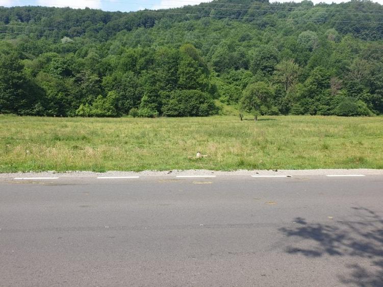 Oportunitate! -teren în zona  Pârâul Rece, Brașov - 4