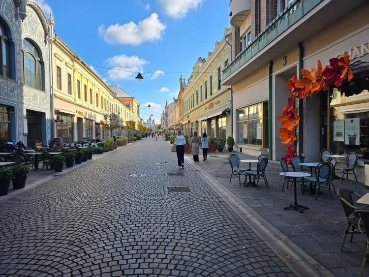 Bijuterie Art Nouveau in inima Oradiei - apartament ultracentral pe Str. Vasile - 1