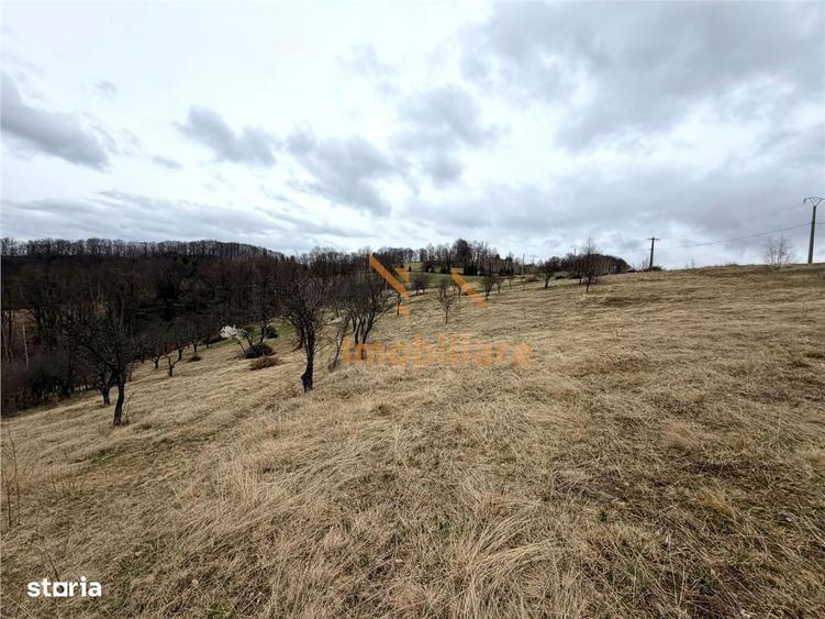 Teren 34.000 Mp | Serani Bihor - 5