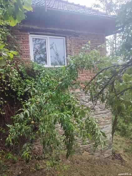 casa de vanzare comuna Brusturi judet Arad - 4