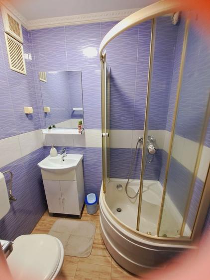 Apartament cu 1 camera de inchiriat - 4