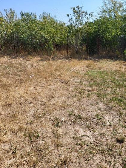 Casa si teren de vanzare in Peris Ilfov - 1