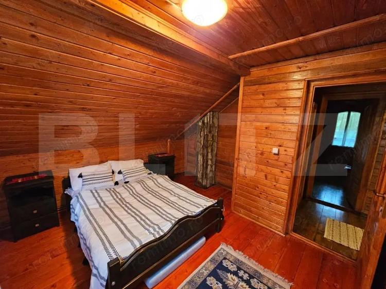 Casa de vacanta cu 4 camere,3300 mp teren,Valisoara - 9