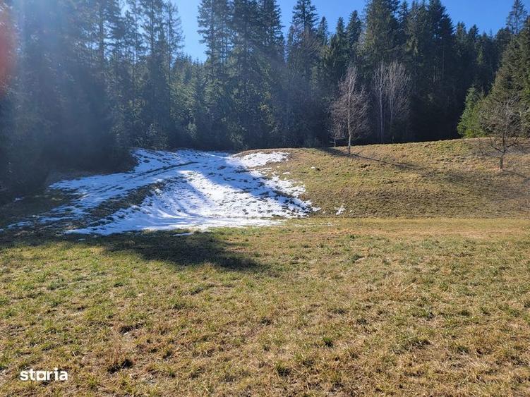 Teren intravilan cu o suprafata de 42 de ari in SUCEVITA. - 3