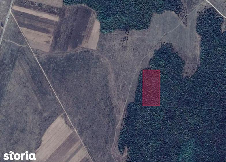 EXCLUSIVITATE: 20.000 mp teren impadurit langa Vi?ina, Dambovi?a - 4