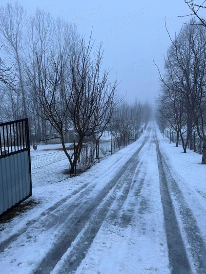 Vand casa in Jud Suceava, com Grame?ti, sat Verbia. - 3