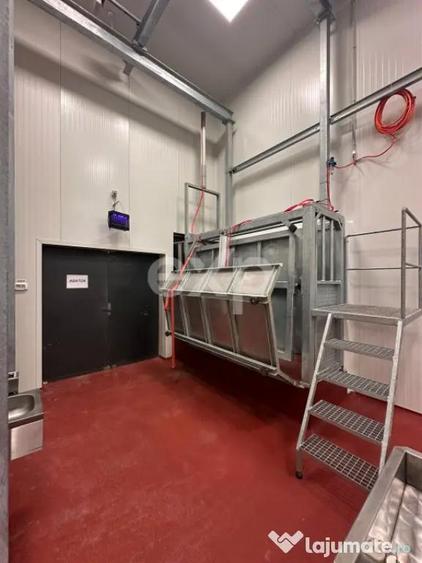 Black Angus Farm with authorized Slaughterhouse - 8