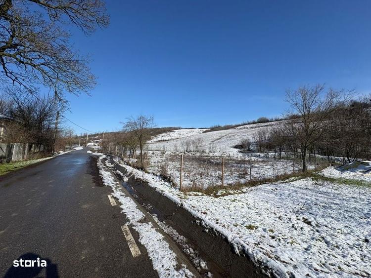 Teren intravilan 1.000 mp imprejmuit Luncsoru, comuna Ghercesti - 1