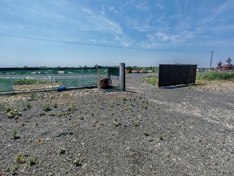 Teren Serbestii Vechi la DN 25 - 3