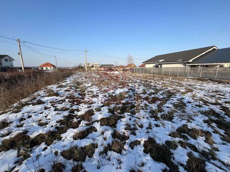 Teren intravilan cu toate utilitățile și front 20 m – Moșnița Veche - 5