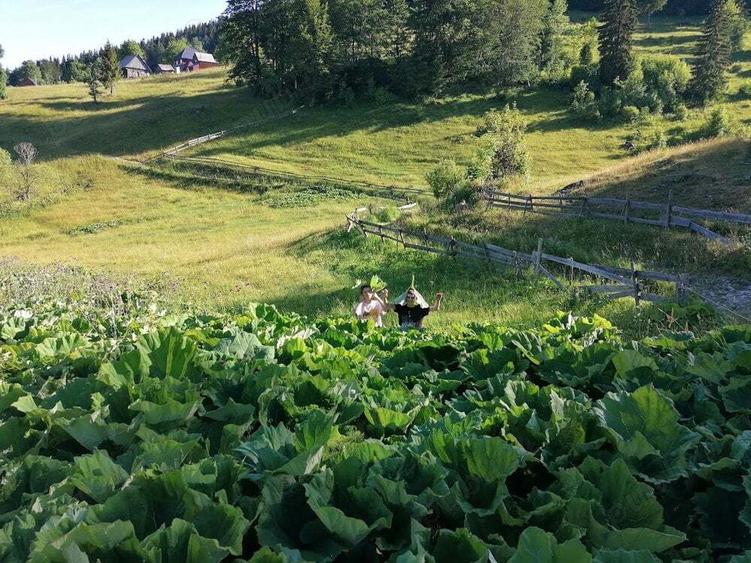 Inima Transilvaniei - 9