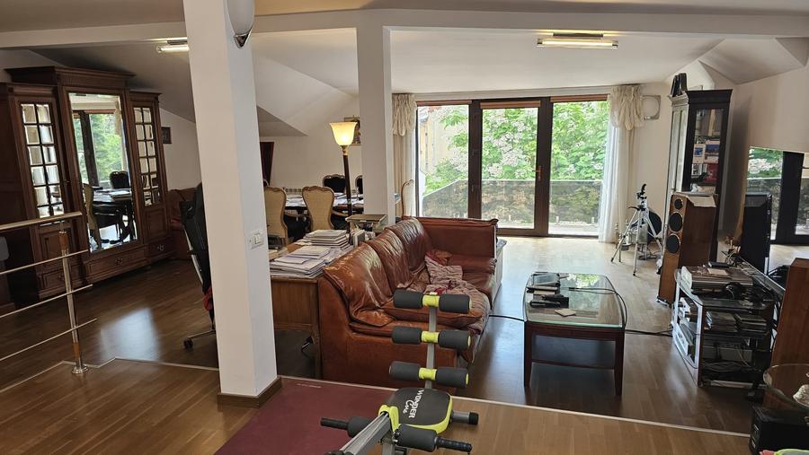 Plantelor, vila d+p+m, cu stil, renovata complet in 2020, curte libera 300 mp, - 15