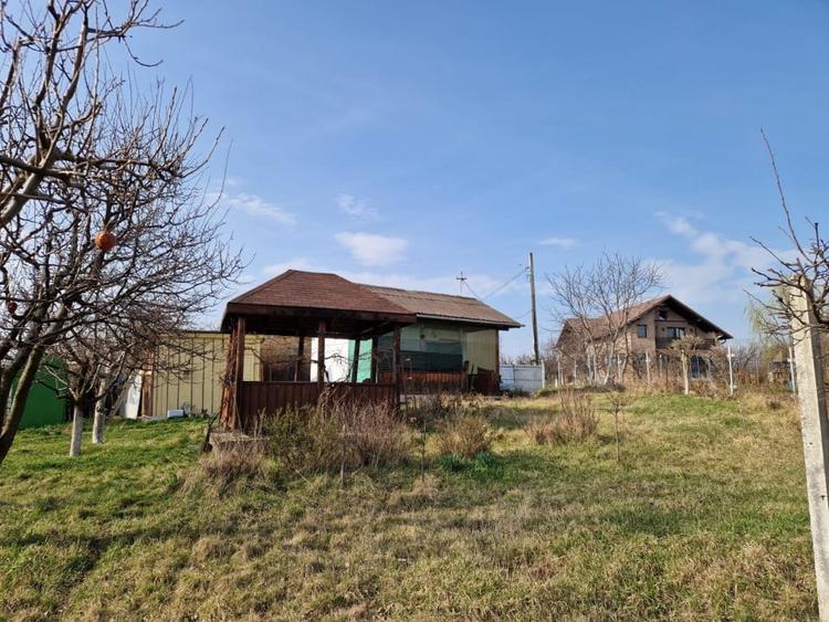 Teren - Roman  -Trifesti - ieșire la lac - livada pe rod - 2