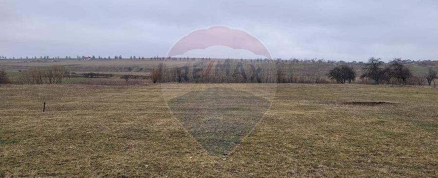 Teren 2925 mp comuna Mitocu Dragomirnei - 11