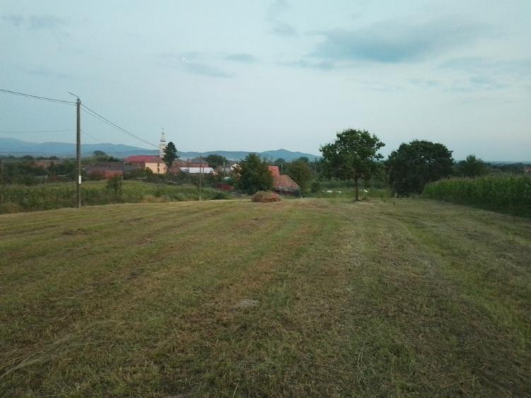 Teren intravilan de vanzare - 11