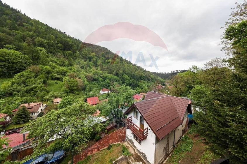 Casa in inima naturii - potential turistic - Centrul Istoric! - 29