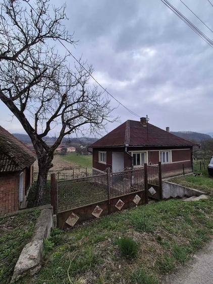 Vand proprietate situata in zona foarte linistita si pitoreasca - 3