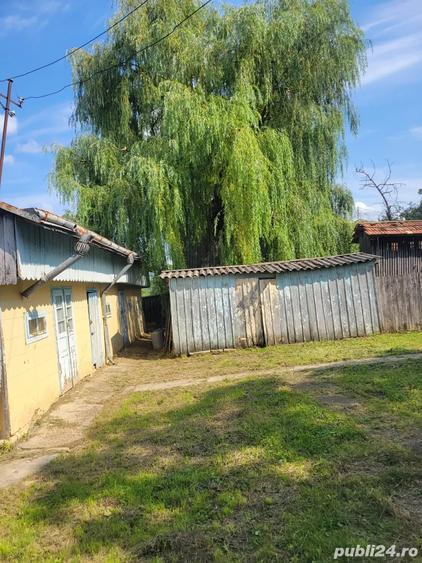 Teren cu casa batraneasca - 3
