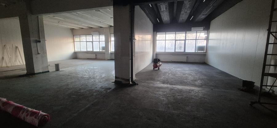 Spatiu Theodor Pallady - 9