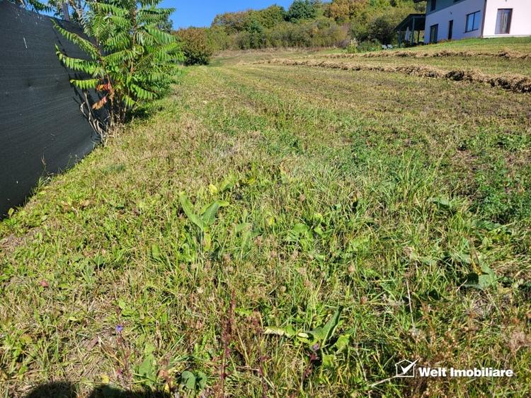 Teren de vanzare – Popesti Vale, 3600 mp - 4