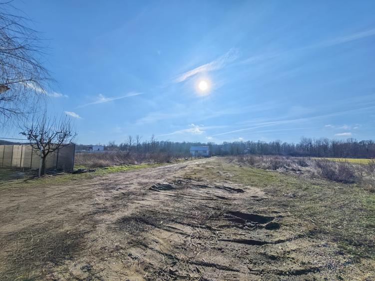 OFERTĂ VÂNZARE TEREN INTRAVILAN – MĂGURELE, STRADA STEJARULUI - 4