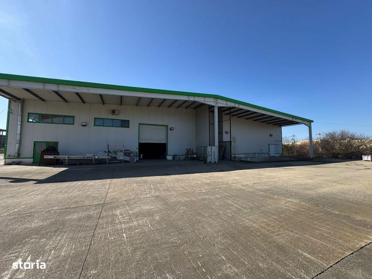 Hala productie/ depozitare frigorifica in Timisoara - 6