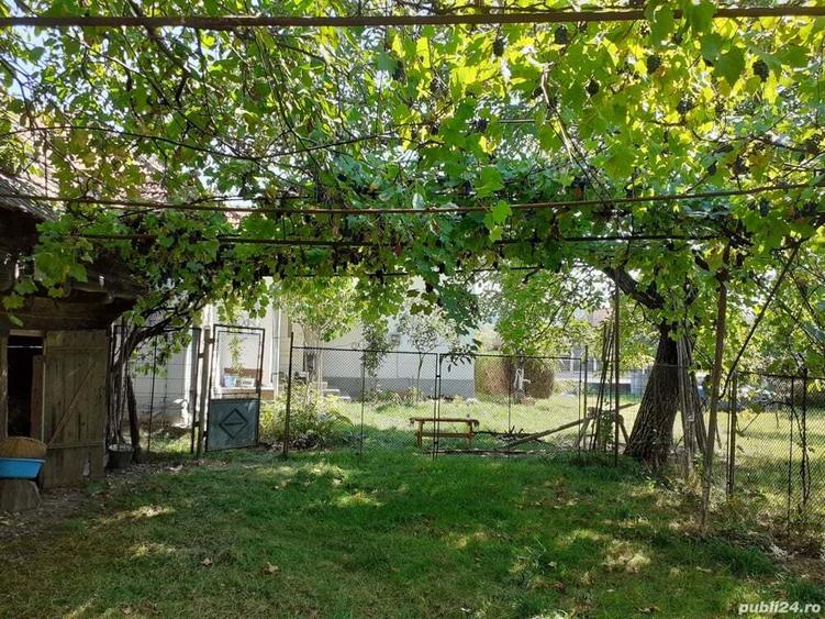 Casa cu teren ?i anexe - 3
