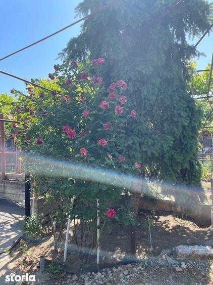 Casa 165 mp + teren 454 mp ~Tulcea - 5