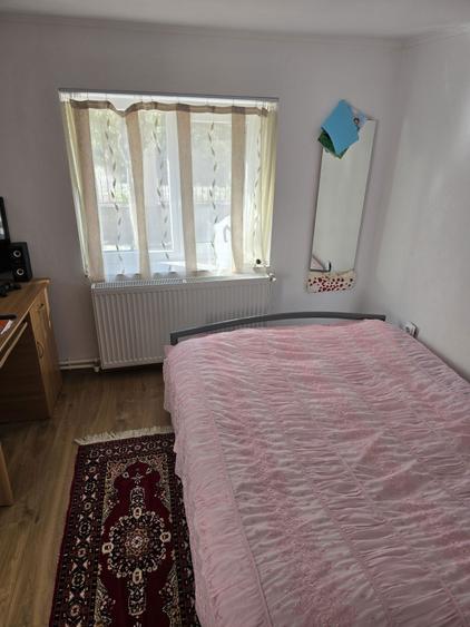 Casa Mirila comuna BOBICESTI Olt - 4