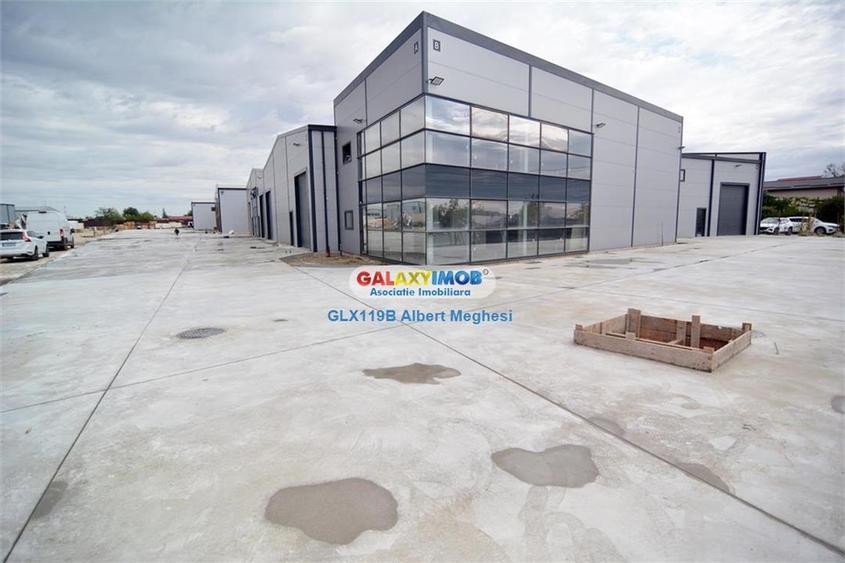 Hale Industriale Centura Rudeni Chitila Centura 415 mp 978 mp - 5