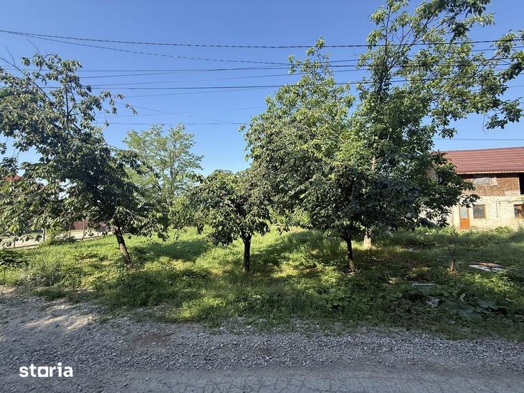 Casa renovanila langa padure 91 mp + teren 500 mp cu toate utilita?ile - 16