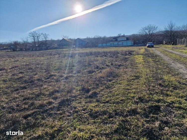Teren 1800mp intravilan Sarata - 2